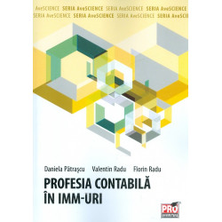 Profesia contabila in IMM-uri