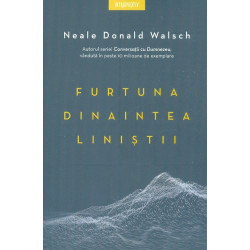 Furtuna dinaintea linistii