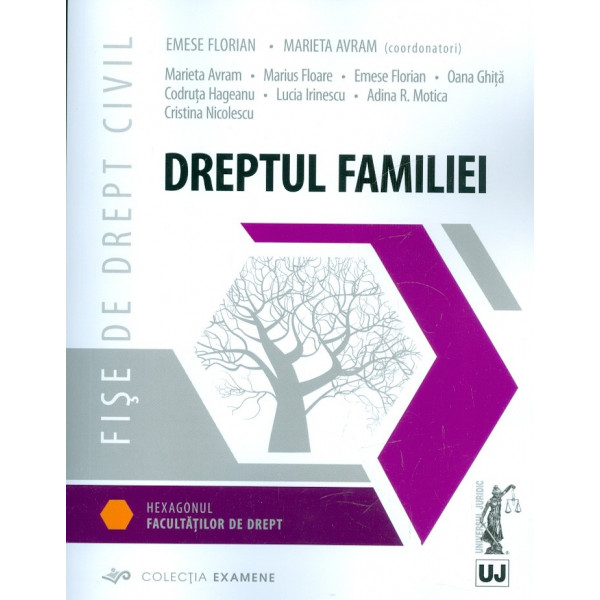 Fise de drept civil. Dreptul familiei
