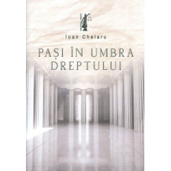 Pasi in umbra dreptului