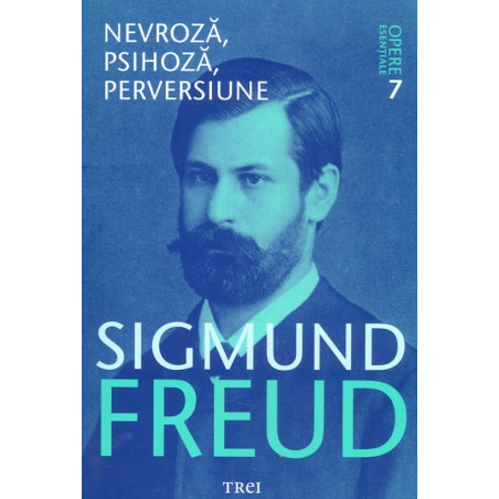 Opere esentiale, vol. VII -...