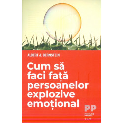 Cum sa faci fata persoanelor explozive emotional