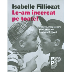 Le-am incercat pe toate! Plansete, incapatanare si crize de furie (perioada 1-5 ani)