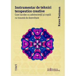 Instrumentar de tehnici terapeutice creative. Cum lucram cu adolescentii si copiii cu trauma de dezvoltare