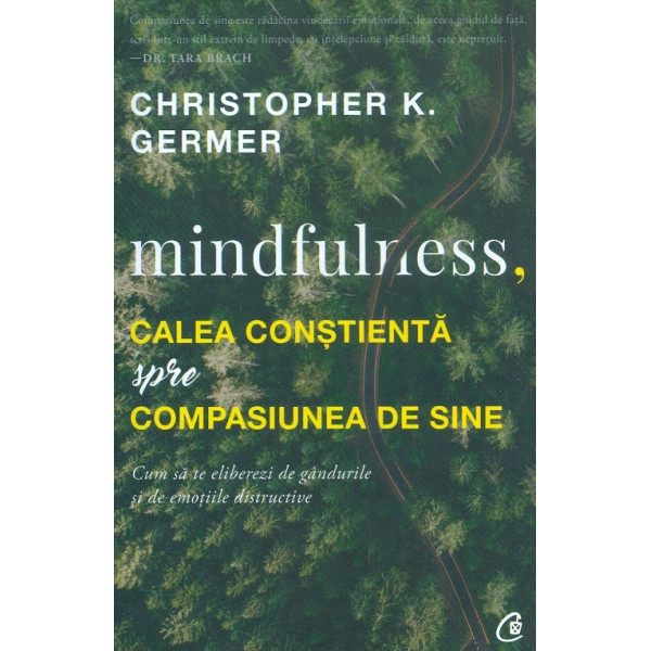 Mindfulness, calea constienta spre compasiunea de sine. Cum sa te eliberezi de gandurile si de emotiile distructive