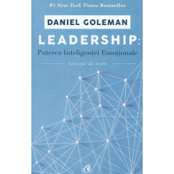 Leadership. Puterea...