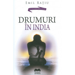 Drumuri in India