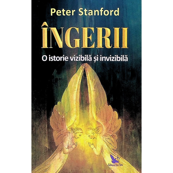 Ingerii. O istorie vizibila si invizibila