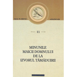 Minunile Maicii Domnului de...