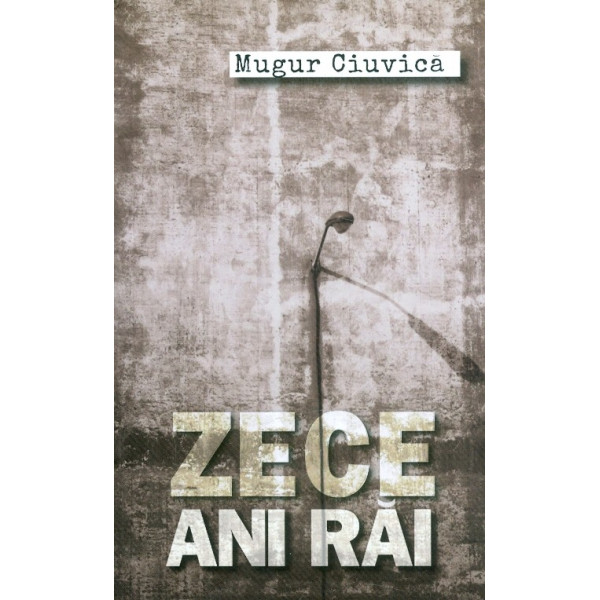 Zece ani rai