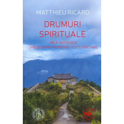 Drumuri spirituale