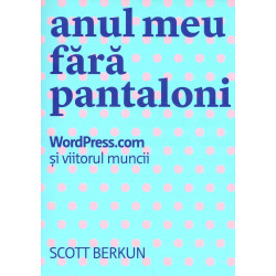 Anul meu fara pantaloni. WordPress.com si viitorul muncii