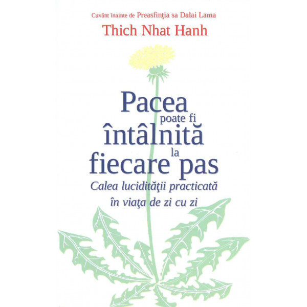 Pacea poate fi intalnita la fiecare pas. Calea luciditatii practicata in viata de zi cu zi