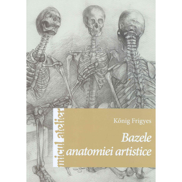 Bazele anatomiei artistice