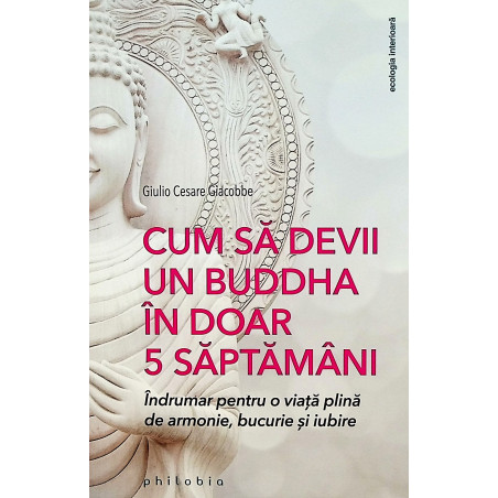Cum sa devii un Buddha in...