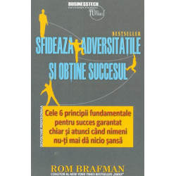 Sfideaza adversitatile si obtine succesul. Cele 6 principii fundamentale pentru succes garantat chiar si atunci cand nimeni nu-t
