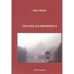 Oglinzi ale departelui