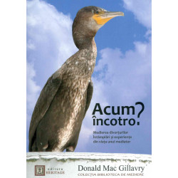 Acum incotro? Medierea...