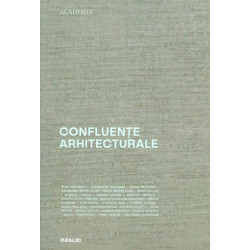 Confluente arhitecturale