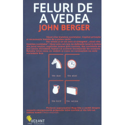Feluri de a vedea