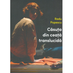 Casuta din ceata translucida