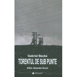 Torentul de sub punte