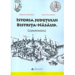 Istoria judetului Bistrita-Nasaud. Compendiu