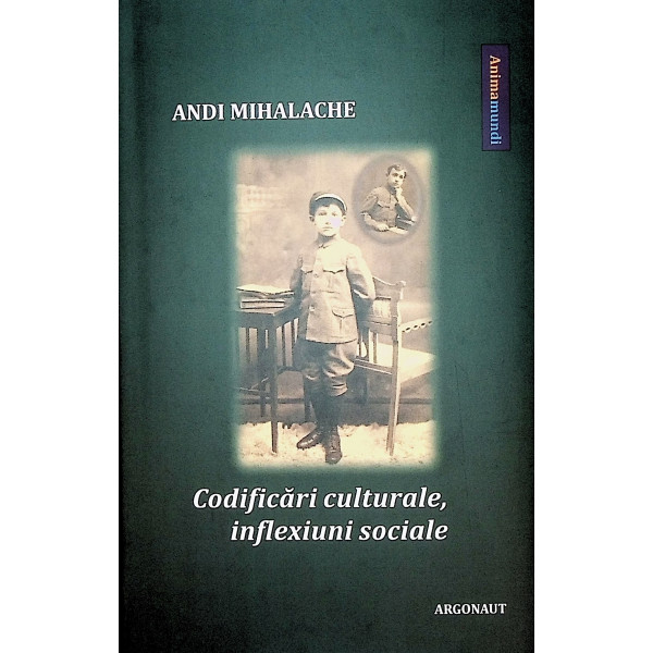 Codificari culturale, inflexiuni sociale