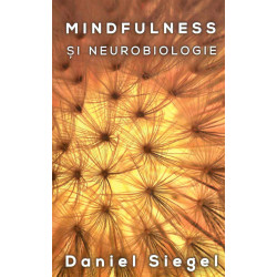 Mindfulness si neurobiologie