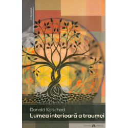Lumea interioara a traumei