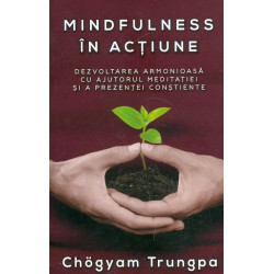 Mindfulness in actiune....