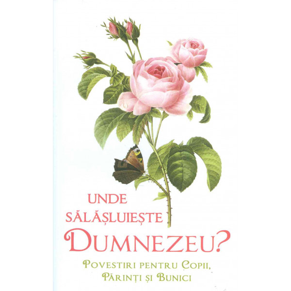 Unde salasluieste Dumnezeu? Povestiri pentru copii, parinti si bunici