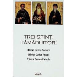 Trei sfinti tamaduitori. Sfantul Cuvios Samson, Sfantul Cuvios Agapit, Sfantul Cuvios Patapie