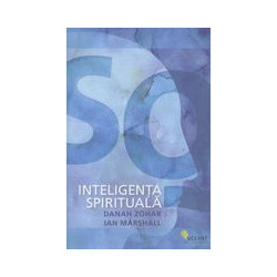 Inteligenta spirituala - SQ