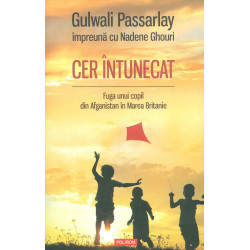 Cer intunecat. Fuga unui copil din Afganistan in Marea Britanie