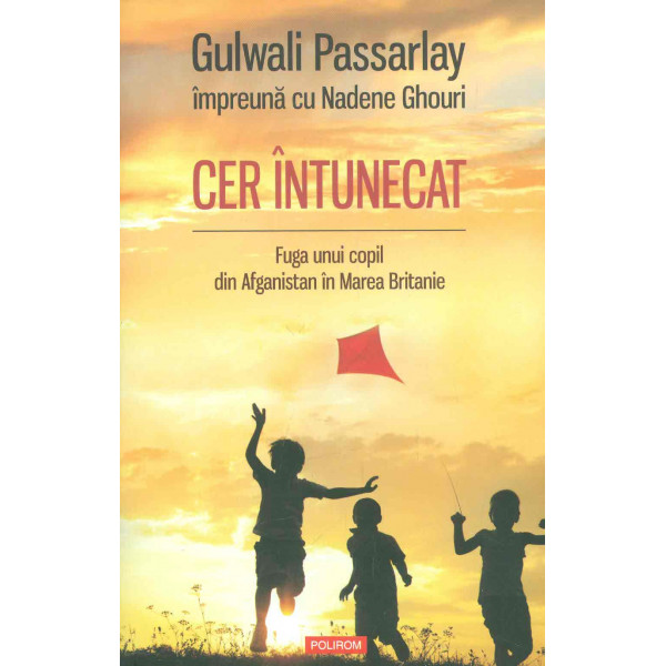 Cer intunecat. Fuga unui copil din Afganistan in Marea Britanie