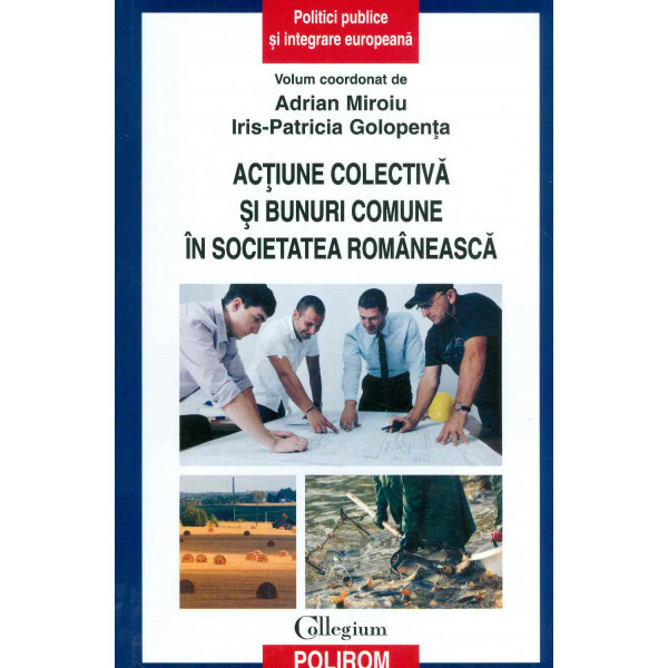 Actiune colectiva si bunuri comune in societatea romaneasca