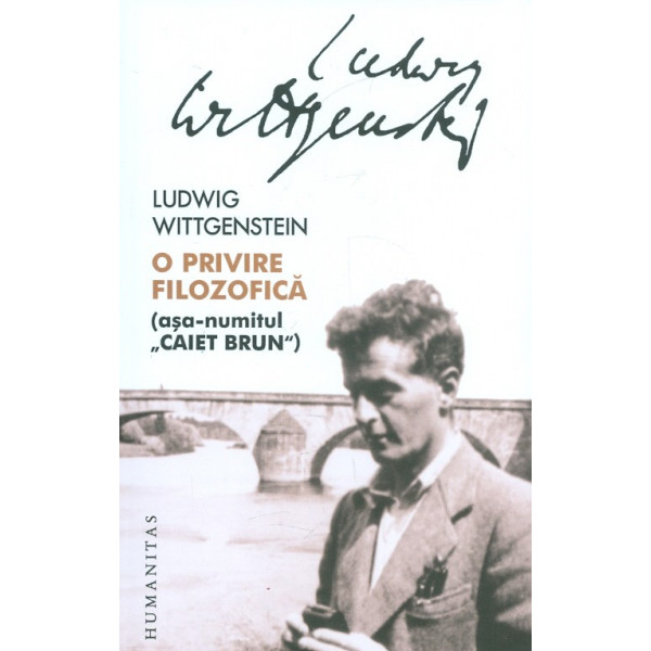 O privire filozofica (asa-numitul Caiet Brun)