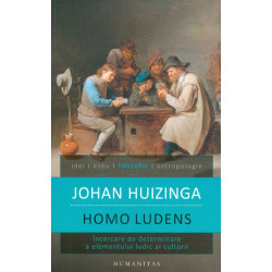Homo Ludens. Incercare de...