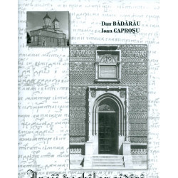 Iasii vechilor zidiri