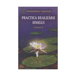 Practica realizarii...