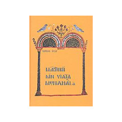 Marturii din viata monahala