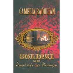 Oglinzi, vol. II - Orasul...