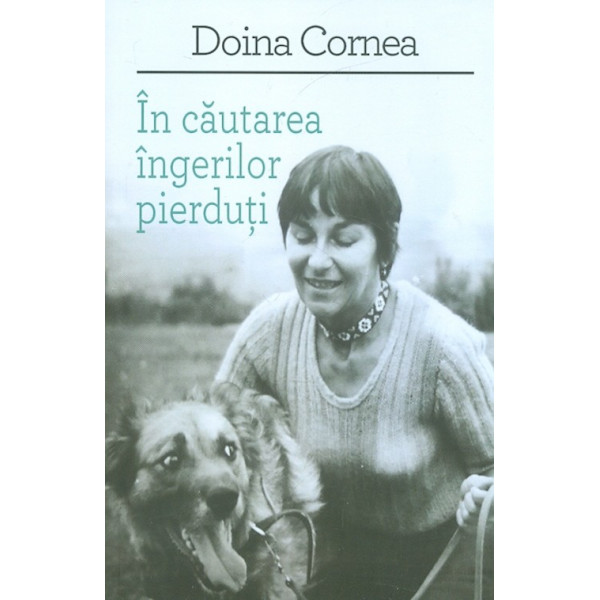 In cautarea ingerilor pierduti