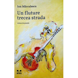 Un fluture trecea strada