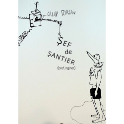 Sef de santier (bref, inginer)