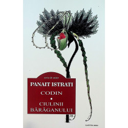 Codin. Ciulinii Baraganului