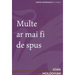 Multe ar mai fi de spus