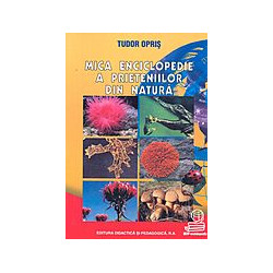 Mica enciclopedie a...