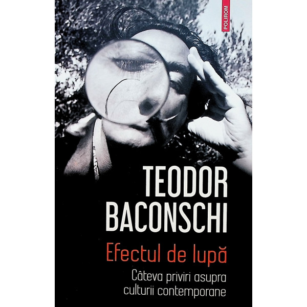 Efectul de lupa. Cateva priviri asupra culturii contemporane